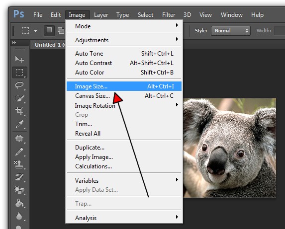 resize an image in photoshop